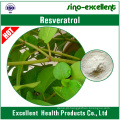 Resveratrol 98% (extracto gigante de Knotweed)